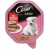 Cesar Junior Truthahn & Kalb In Pastete | 14 X 150g Hundefutter