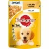 Pedigree PB Junior Huhn In Gelee | 24x 100g 1 Pedigree PB Junior Huhn In Gelee | 24x 100g -Hundefutter Geschäft 24x Pedigree PB Junior Huhn in Gelee 100g 215895