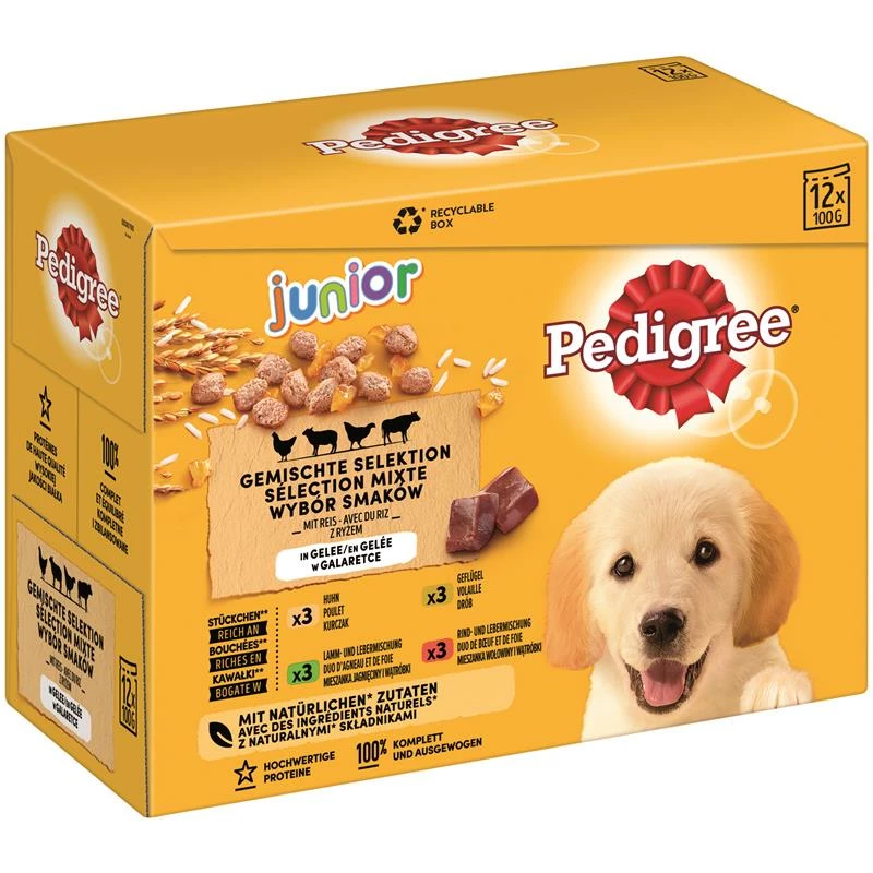 Pedigree PB Junior In Gelee Im Multipack | 48x100g 3 Pedigree PB Junior In Gelee Im Multipack | 48x100g