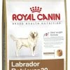 Royal Canin Breed Labrador Retriever | 3kg Hundefutter 2 Royal Canin Breed Labrador Retriever | 3kg Hundefutter -Hundefutter Geschäft 777