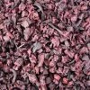 OLEWO Rote Bete-Chips | 7,5 Kg Ergänzungsfutter Für Hund, Pferd, Nager 1 OLEWO Rote Bete-Chips | 7,5 Kg Ergänzungsfutter Für Hund, Pferd, Nager -Hundefutter Geschäft OLEWO Rote Bete Chips 7 5 Kg 214444