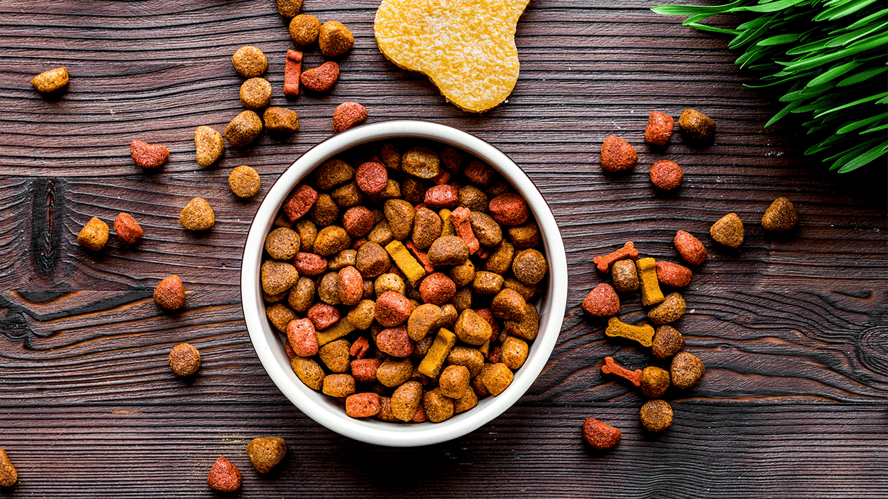 Hundefutter Geschäft -Hundefutter Geschäft Pet Food Trends Main Banner