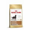 Royal Canin Labrador Adult Sterilised | 12kg Hundefutter Trocken