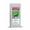 Royal Canin Special Club Kroketten | 15kg Für Aktive Hunde -Hundefutter Geschäft Royal Canin Special Club Kroketten 15kg fuer aktive Hu