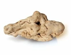 Torgas Kauwurzel Größe: M - Kauwurzel Für Hunde Zur Zahnpflege Ohne Splitter