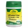 CdVet CdProtect | 24 Kapseln Für Hunde > 10kg -Hundefutter Geschäft cdVet cdProtect 24 Kapseln fuer Hunde 10kg 217945